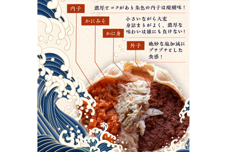 【訳あり】☆蟹の宝石箱☆お手軽!絶品! オオズワイガニメス甲羅盛3個