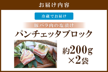 パンチェッタ【約200g×2】 ふるさと納税 豚肉 塩漬け ふるさと納税 ベーコン ふるさと納税 パンチェッタ 豚バラ 塩漬け スペイン料理