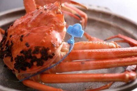 【訳あり！！タグ付きブランド】茹で松葉かに 鮮度抜群、釜茹でにてお届け！！ 1kg級（足1本落ち）×1杯