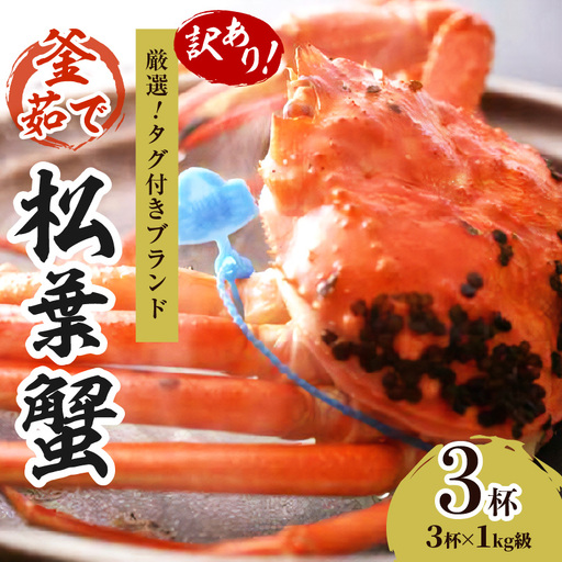 【訳あり！！タグ付きブランド】茹で松葉かに 鮮度抜群、釜茹でにてお届け！！ 1kg級（足1本落ち）×3杯　ふるさと納税 かに 京都 京丹後 海鮮 まつば蟹 まつばがに 松葉ガニ 海祥