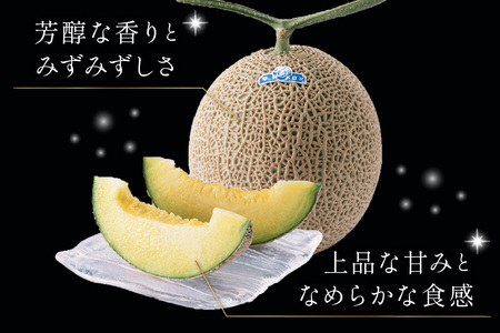 【先行予約】京たんごメロン 琴引メロン 3L 2玉 26年6月～