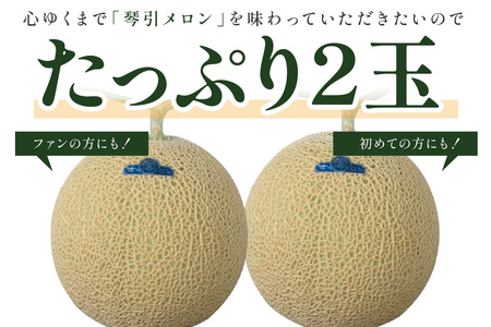 【先行予約】京たんごメロン 琴引メロン 3L 2玉 26年6月～