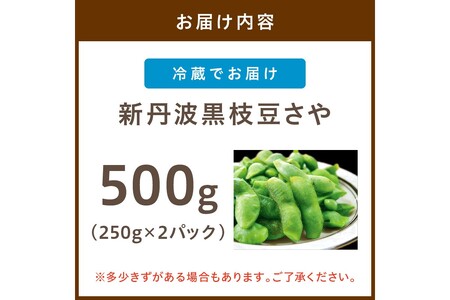 【先行予約/数量限定40】新丹波黒枝豆さや 500g(250g×2パック)(2026年10月中旬~発送)