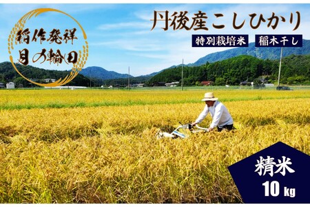 2026年産 京丹後産稲作発祥の地コシヒカリ特別栽培米 月の輪田米 精米10kg（天日干し）　ふるさと納税 米 玄米 お米 ご飯 ごはん コシヒカリ 京丹後産 峰山 農家応援 生産者応援 送料無料