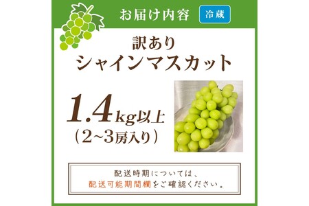 【先行予約/数量限定100】訳ありシャインマスカット 1.4kg以上(2~3房入り)(2026年9月上旬~発送)
