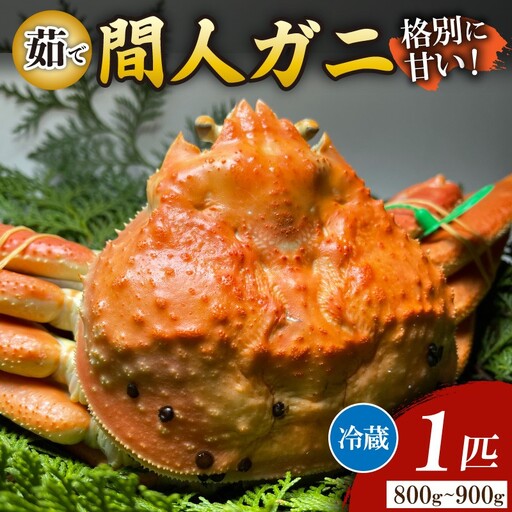 間人漁港仲買人の丸友鮮魚三代目・自慢の間人ガニ≪茹で≫[1匹 800～900g]