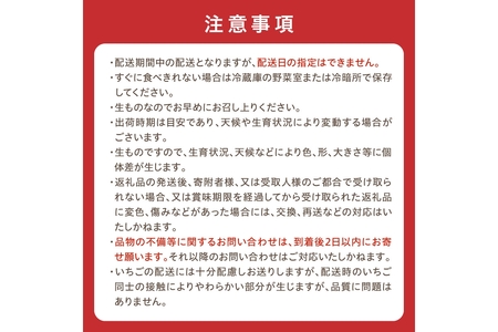 京丹後フルーツ定期便3種（いちご、スイカ、シャインマスカット）