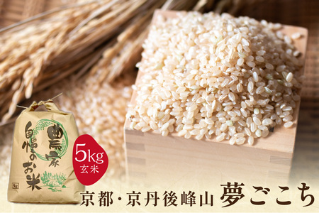 2025年産 京都・京丹後峰山 特別栽培米夢ごこち 5kg 【玄米】
