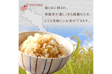 2025年産 京都・京丹後峰山 特別栽培米夢ごこち 5kg 【玄米】