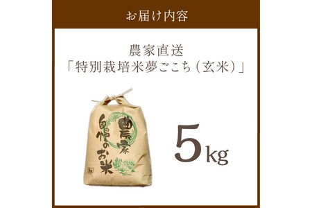 2025年産 京都・京丹後峰山 特別栽培米夢ごこち 5kg 【玄米】