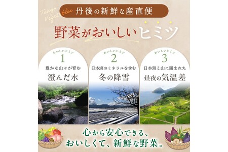 【お米&野菜セット】 訳あり 京都産 野菜3品 コシヒカリ1kg【3回定期便】