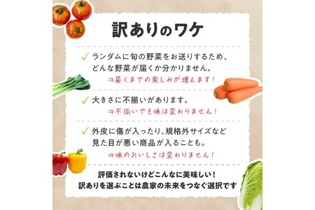 【お米&野菜セット】 訳あり 京都産 野菜3品 コシヒカリ1kg【3回定期便】