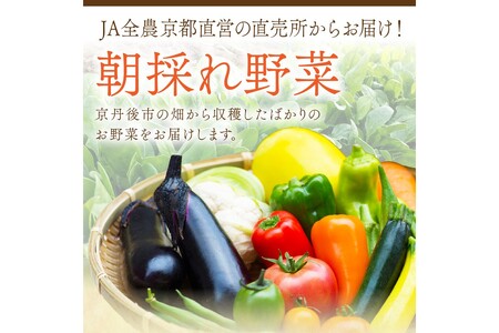 【お米&野菜セット】 訳あり 京都産 野菜3品 コシヒカリ1kg【3回定期便】