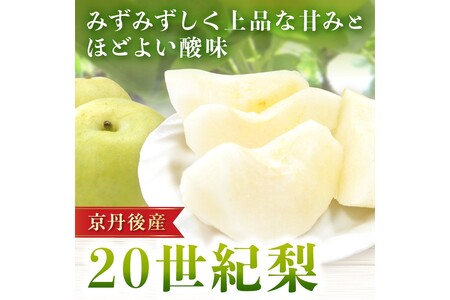 【先行予約／数量限定150】20世紀梨 5kg（2026年9月上旬～発送）梨