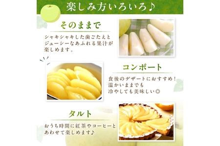 【先行予約／数量限定150】20世紀梨 5kg（2026年9月上旬～発送）梨