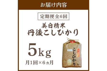 【定期便6回】令和7年産 美白精米 丹後こしひかり 5kg×6ヵ月 1等米