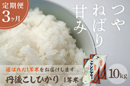 【定期便3回】令和7年産 丹後こしひかり 10kg×3ヵ月 1等米　お米 コメ こめ 丹後 コシヒカリ 精米 ふるさと 納税 コシヒカリ 精米 ふるさと 納税 こしひかり 精米 ふるさと 納税 米
