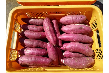 焼き芋 冷凍焼き芋 紅はるか750g前後【個包装】