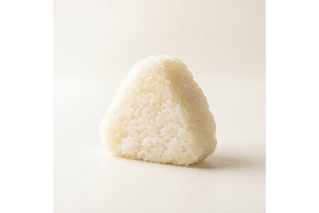 冷凍おにぎり 丹後コシヒカリ 塩おむすび10個｜おにぎり