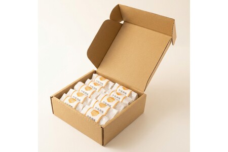 冷凍おにぎり 丹後コシヒカリ 塩おむすび10個｜おにぎり