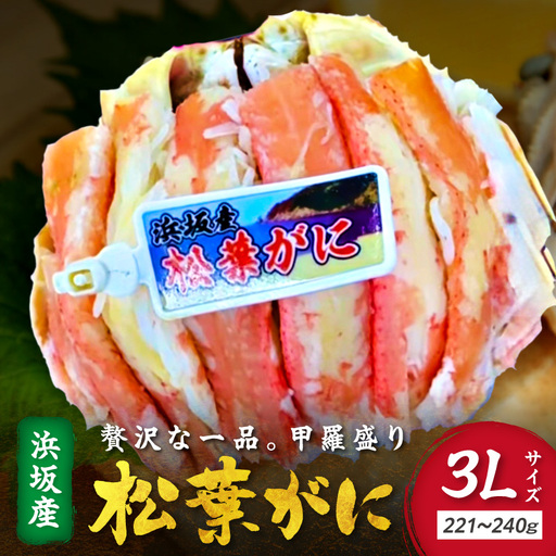 松葉ガニ甲羅盛3Lサイズ 1個 カニ 松葉蟹 ズワイガニ 甲羅盛 ふるさと納税 カニ