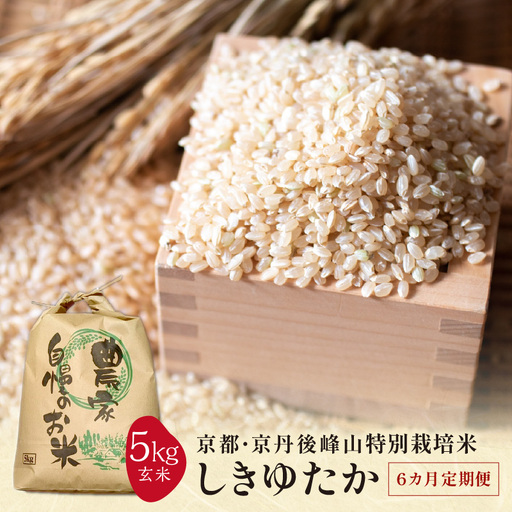 【6ヶ月定期便】2026年産 京都・京丹後峰山 特別栽培米しきゆたか 5kg 【玄米】米 定期便 玄米 しきゆたか 24,850円
