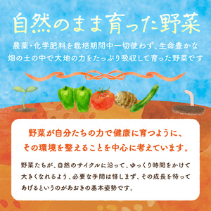 自然栽培さといも「大野芋」2kg