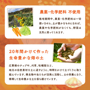 自然栽培さといも「大野芋」2kg