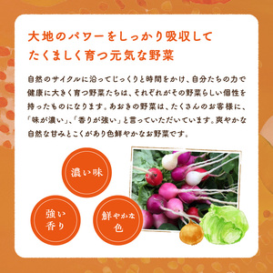 自然栽培さといも「大野芋」2kg