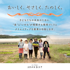 自然栽培さといも「大野芋」2kg