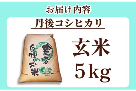 コシヒカリ令和7年 丹後コシヒカリ 5kg 玄米