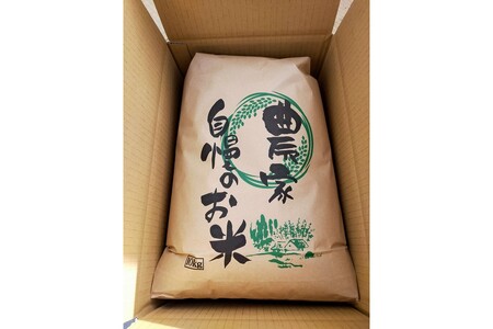 2025年産丹後コシヒカリ 玄米10kg コシヒカリ