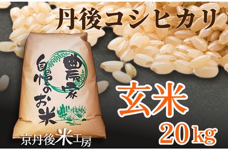 2025年産 京丹後産コシヒカリ 玄米20kg｜京都府京丹後市｜ポイント制