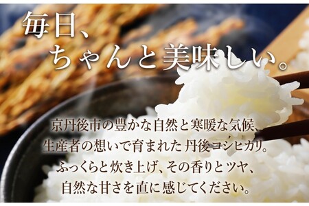 令和7年産 丹後コシヒカリ20kg コシヒカリ 玄米