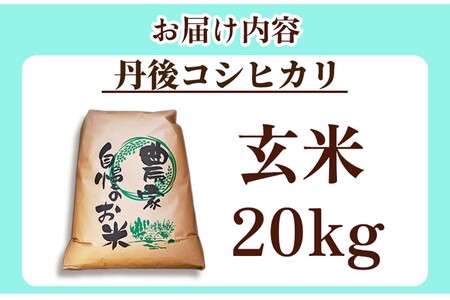 令和7年産 丹後コシヒカリ20kg コシヒカリ 玄米