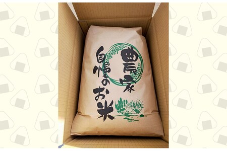 令和７年産 丹後コシヒカリ 精米20kg コシヒカリ