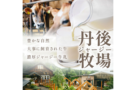 レアチーズケーキ 2個 ケーキ デザート スイーツ 