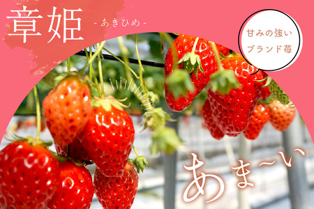 【完熟朝穫れ大玉いちご】章姫２パックセット
