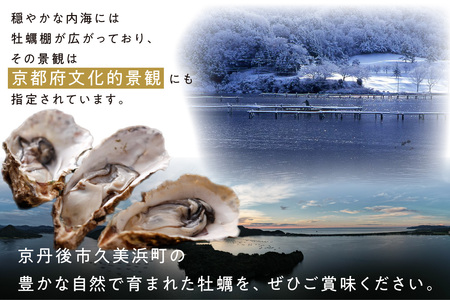 牡蠣小屋直送／海の京都・殻付き牡蠣 5kg 約50個【加熱用 牡蠣】国産