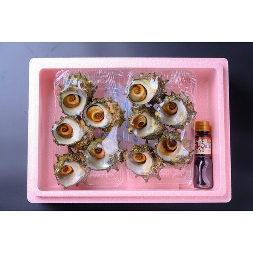 天然サザエボイル1.6㎏ 大サイズサザエ万能ダシ付き