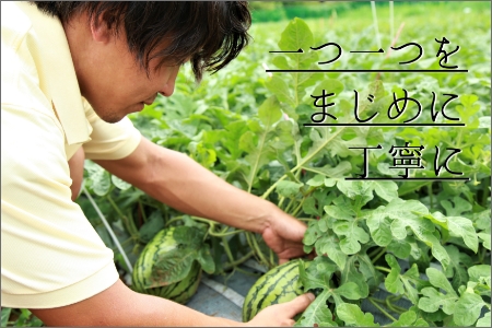 小玉スイカ ２玉 京都府京丹後市 ふるさと納税サイト ふるなび