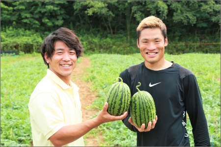 小玉スイカ ２玉 京都府京丹後市 ふるさと納税サイト ふるなび