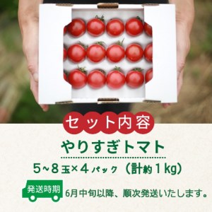 トマト農家のこだわり高糖度トマト「やりすぎトマト」【先行予約】やりすぎトマト（4パック計約1kg）（夏季）（2024年6月中旬以降発送）トマトスープやトマト料理に