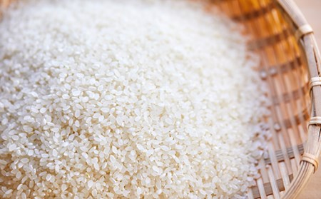 特別栽培米コシヒカリ「おおきに大地米」10kg《令和5年度産》