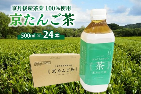 【ペットボトル 緑茶】京都・京たんご茶（ペットボトル 500ml×24本）京都・京丹後の山あいの茶園　一番茶葉100％使用　＜緑茶／ペットボトル／お茶＞