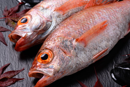 のどぐろ 干物／【海鮮の匠　魚政】のどぐろ一夜干し（ノドグロ、のど黒、アカムツ）300g級使用 干し上がり後 210g以上 3尾セット 干物・一夜干し・のどぐろ 干物セット・干し・中サイズ 冷凍／国産