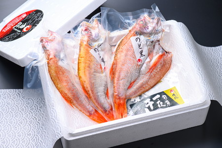 のどぐろ 干物／【海鮮の匠　魚政】のどぐろ一夜干し（ノドグロ、のど黒、アカムツ）300g級使用 干し上がり後 210g以上 3尾セット 干物・一夜干し・のどぐろ 干物セット・干し・中サイズ 冷凍／国産