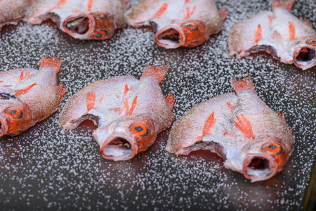【海鮮の匠　魚政】のどぐろ熟成一汐（ノドグロ、のど黒、アカムツ）500g級使用 仕上がり後 370g以上 3尾セット のどぐろ　干物セット