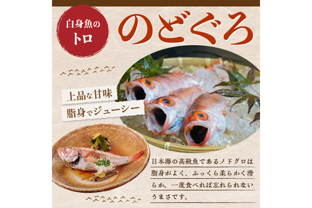 【北畿水産 鮮の匠】のどぐろ一夜干し3匹セット 魚介類 魚介 魚 のどぐろ 一夜干し 干物 干し物 セット 詰め合わせ 美味しい 高級魚