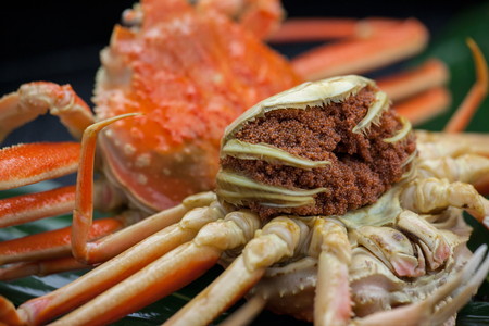 【カニ】驚きの旨さ！茹でセコガニ 【訳あり】小サイズ5匹入 カニ